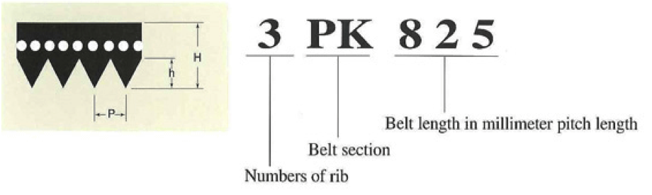 Poly v belt sizes hotsell