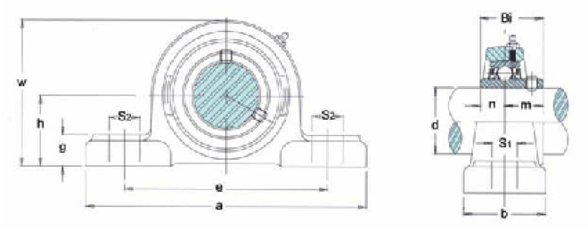 Mounted Bearings